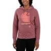 'Carhartt' Women's Rain Defender® Midweight Graphic Hoodie - Iron Ore Heather